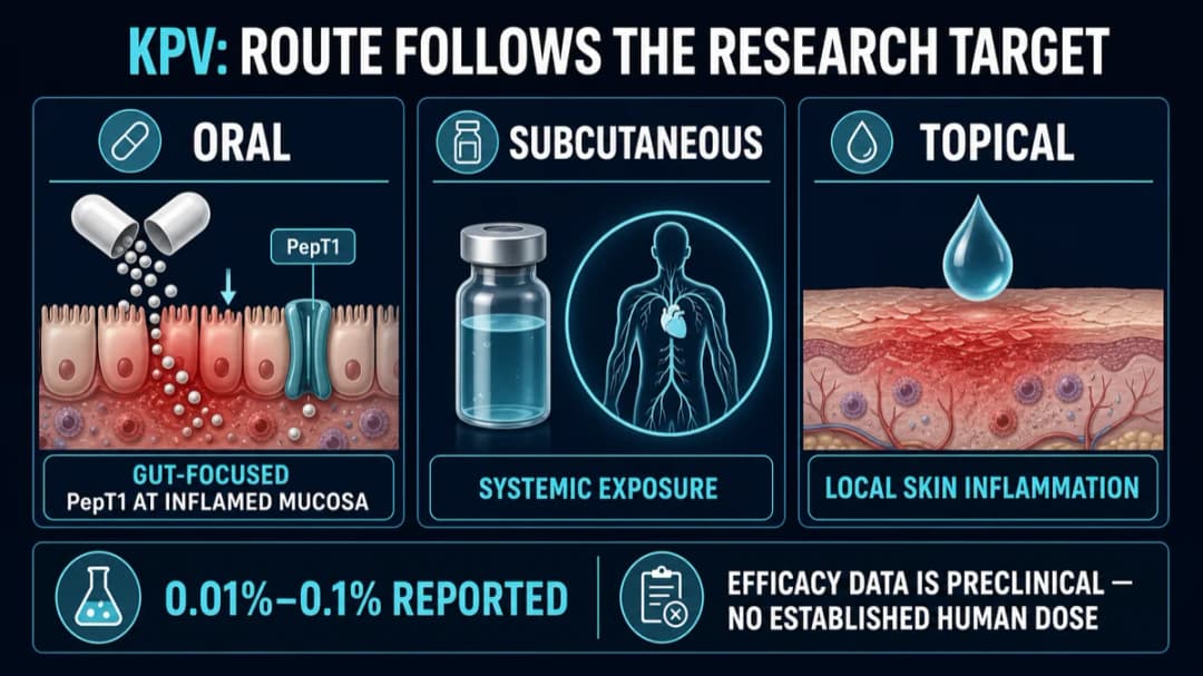 KPV: Route follows the research target