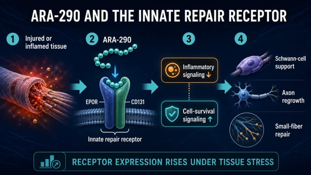 ARA-290: And the innate repair receptor