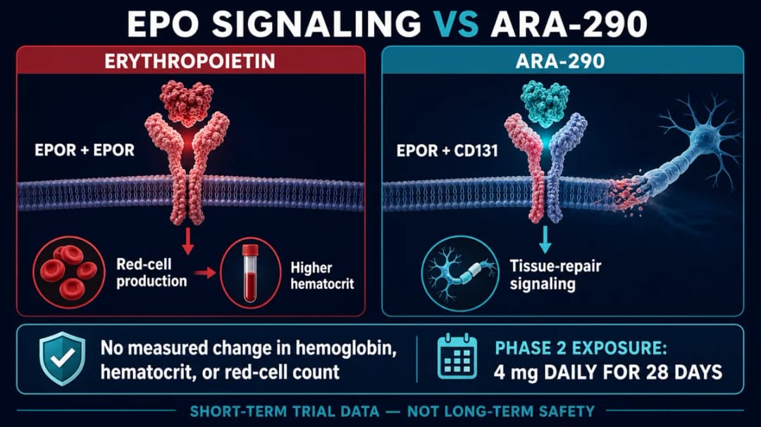 ARA-290: Epo signaling vs ARA-290