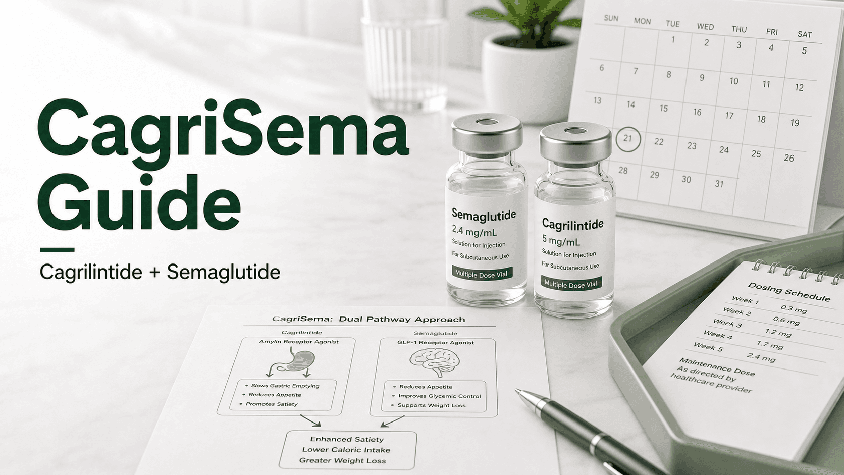 CagriSema Guide: Cagrilintide Plus Semaglutide article visual