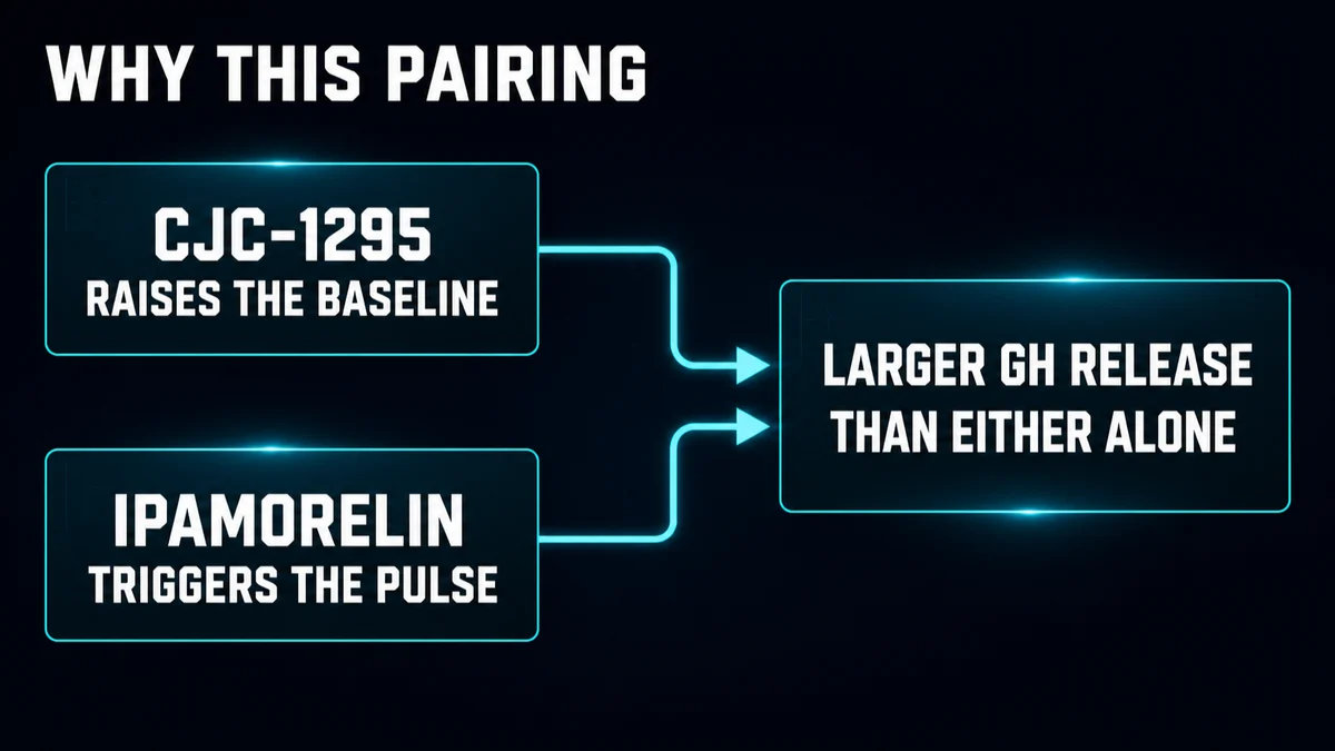 Diagram: why CJC-1295 and ipamorelin are paired