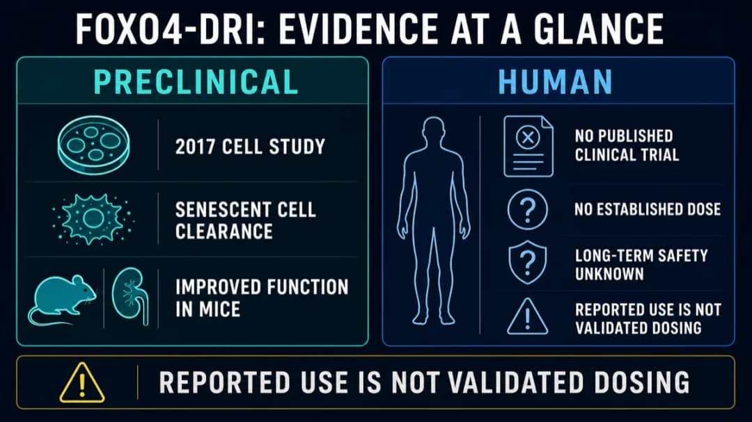FOXO4-DRI: Evidence at a glance
