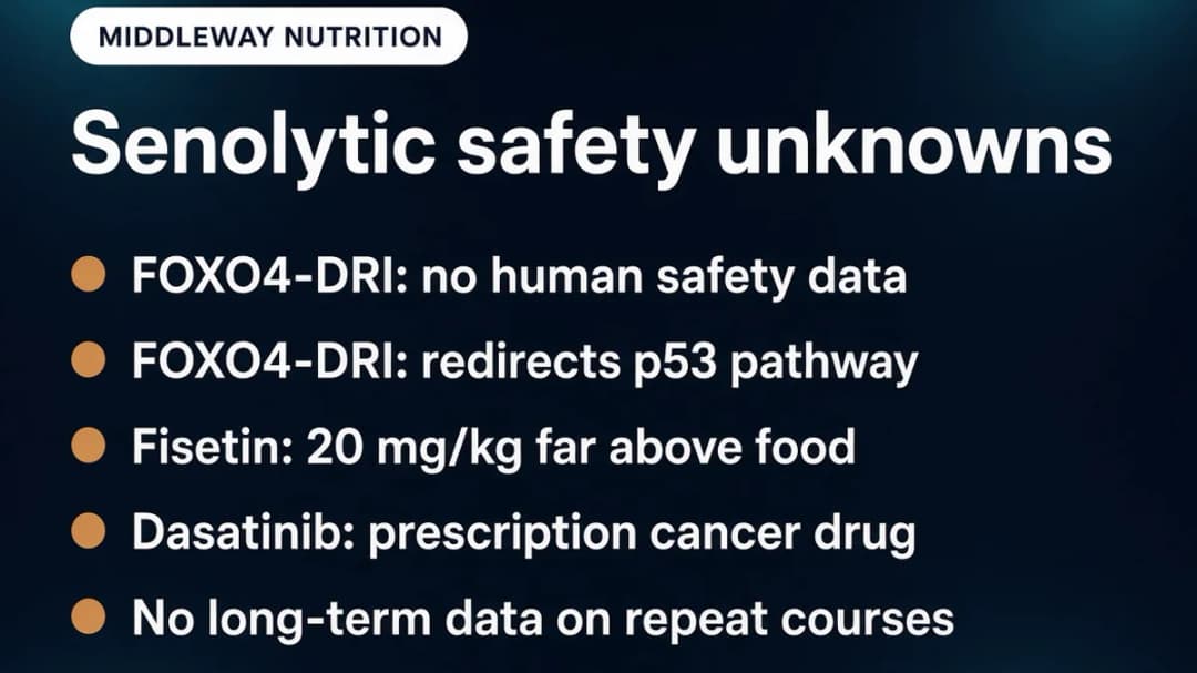 Warning card: senolytic safety unknowns for FOXO4-DRI, fisetin and D+Q