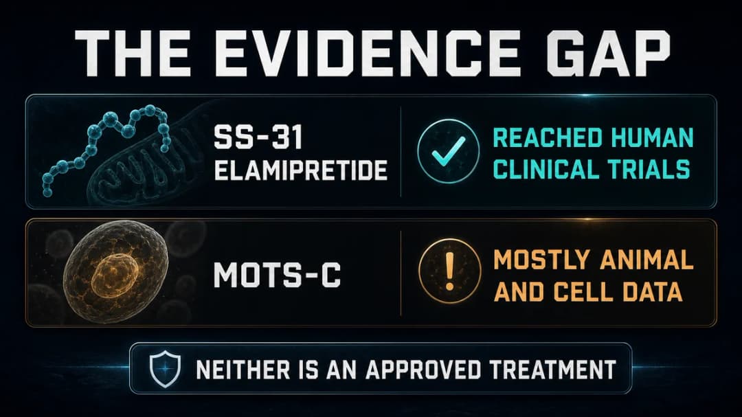 Card: the evidence gap between SS-31 and MOTS-c