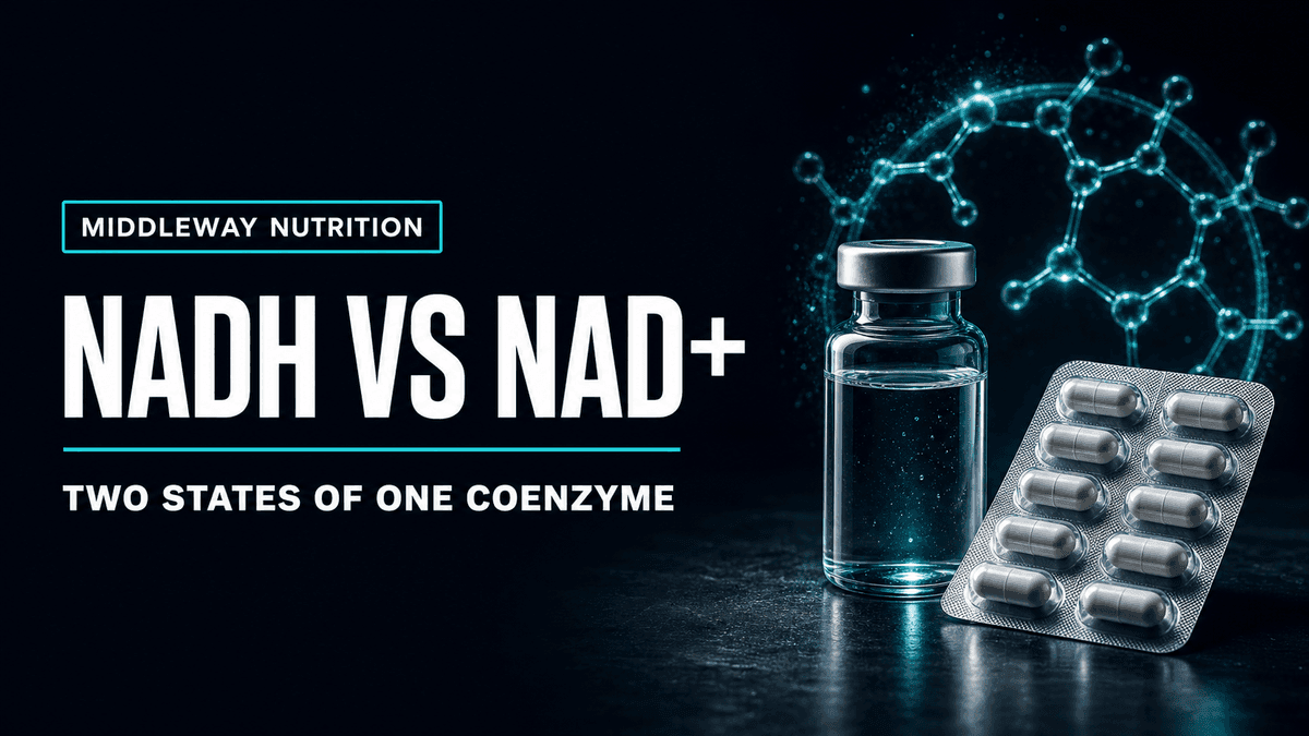 NADH vs NAD+: Two States of One Coenzyme, and What to Supplement