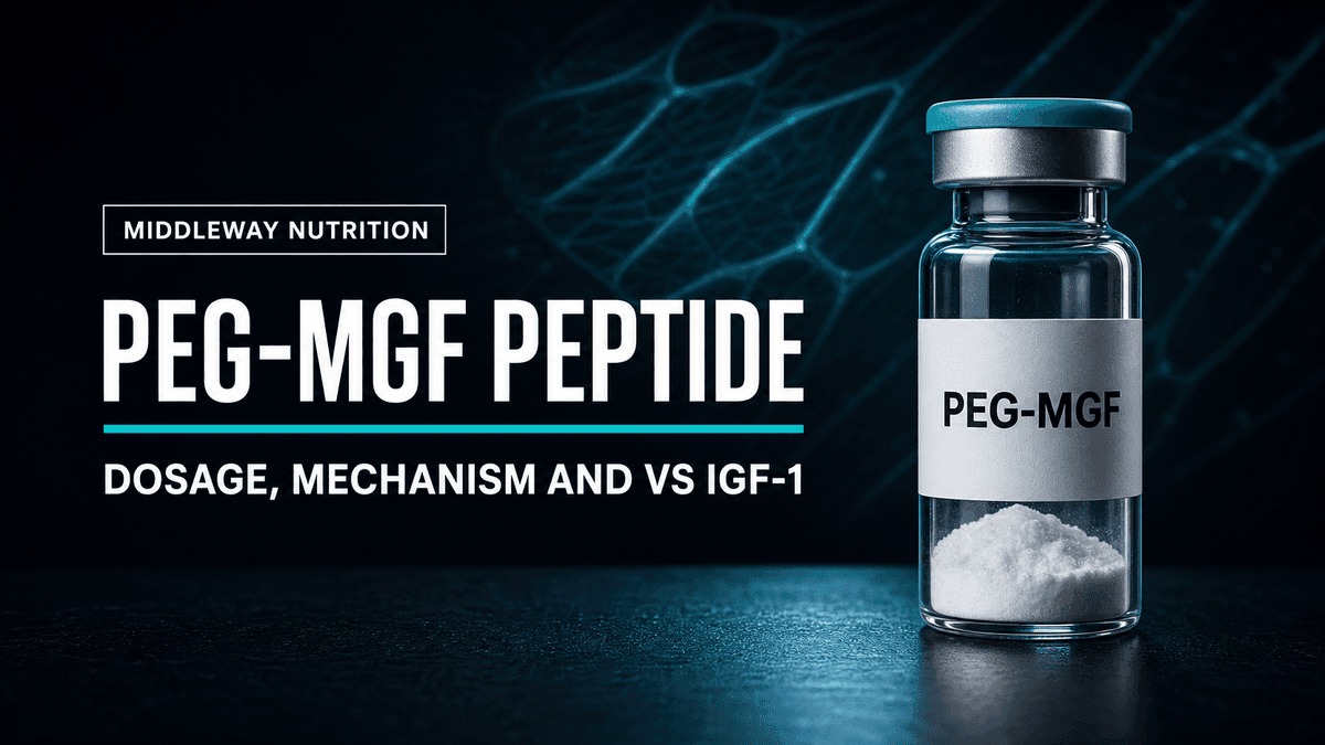 PEG-MGF Peptide: Dosage, Mechanism and How It Differs from IGF-1