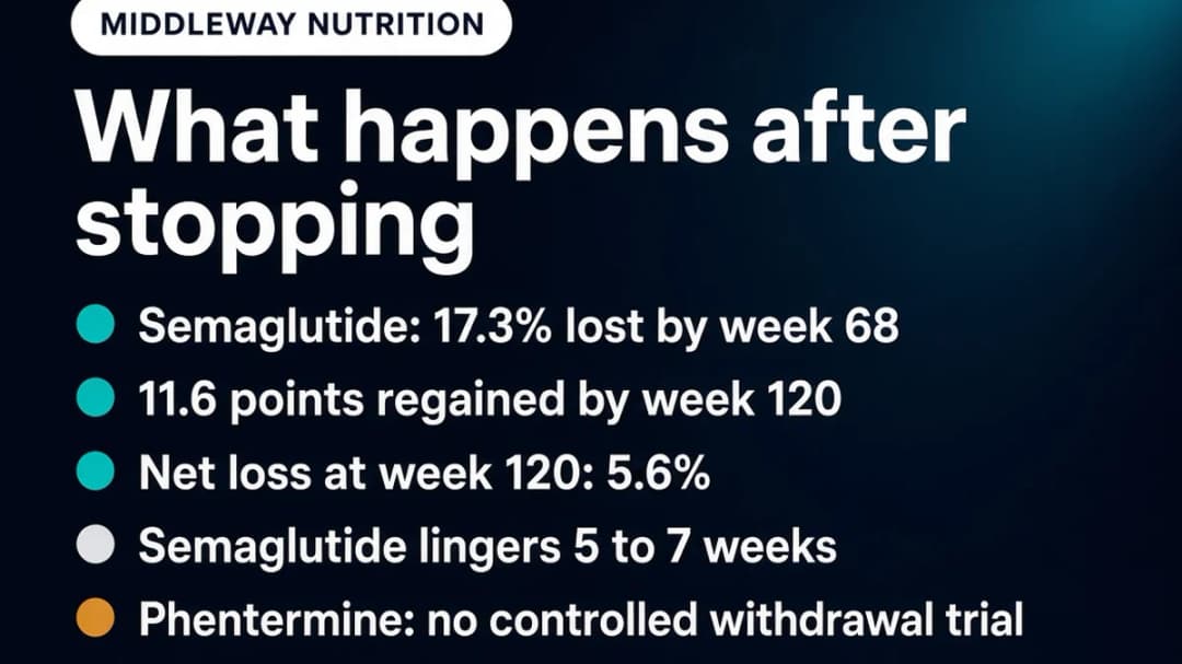 Timeline card: what happens after stopping phentermine or semaglutide