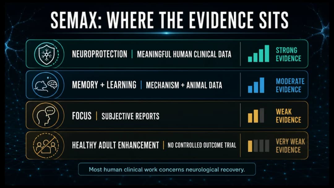 Semax: Where the evidence sits