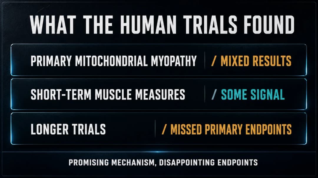 Card: what the SS-31 human trials found