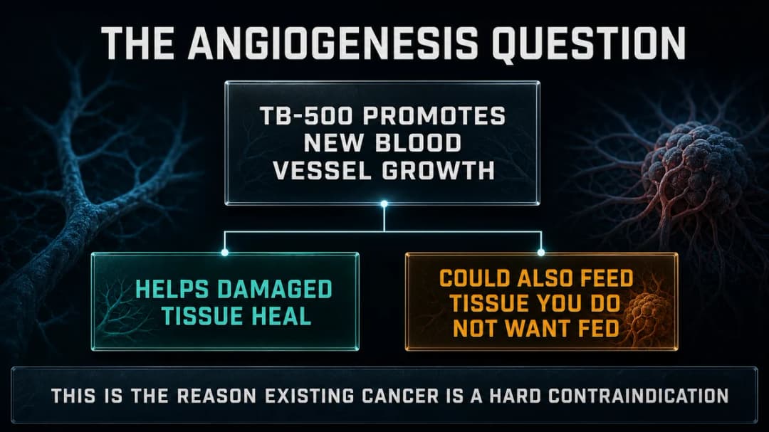 Diagram: the TB-500 angiogenesis question