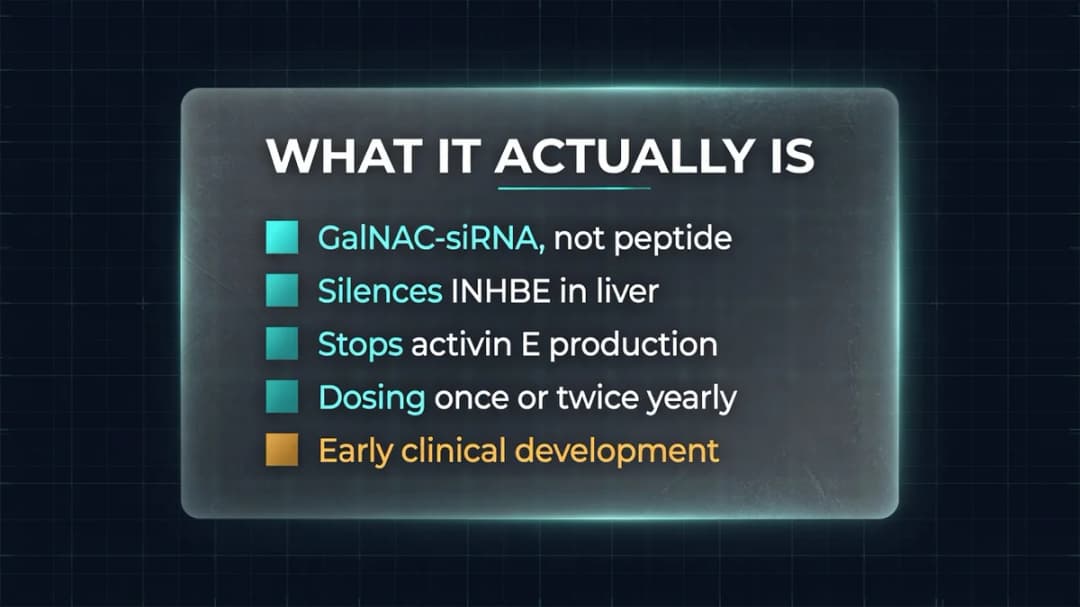 Diagram: how WVE-007 silences the INHBE gene in the liver