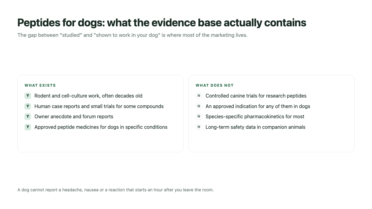 Peptides for dogs: what the evidence base contains and what it does not, including no controlled canine trials