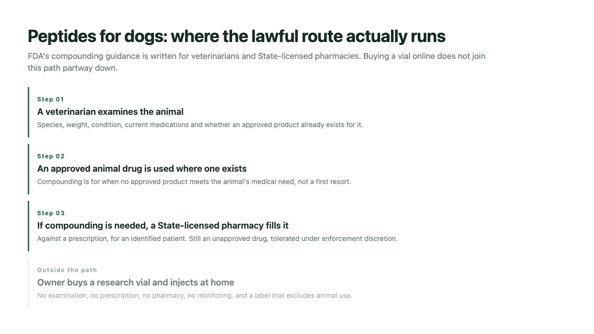 Peptides for dogs: the lawful route from veterinary exam to a State-licensed compounding pharmacy