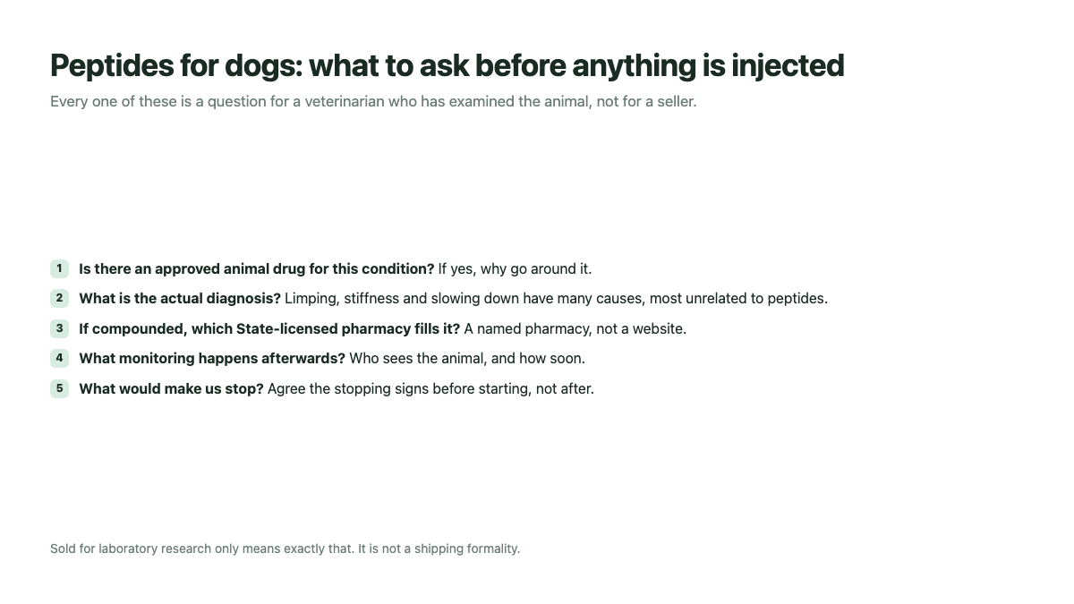 Peptides for dogs: five questions to ask a veterinarian before anything is injected